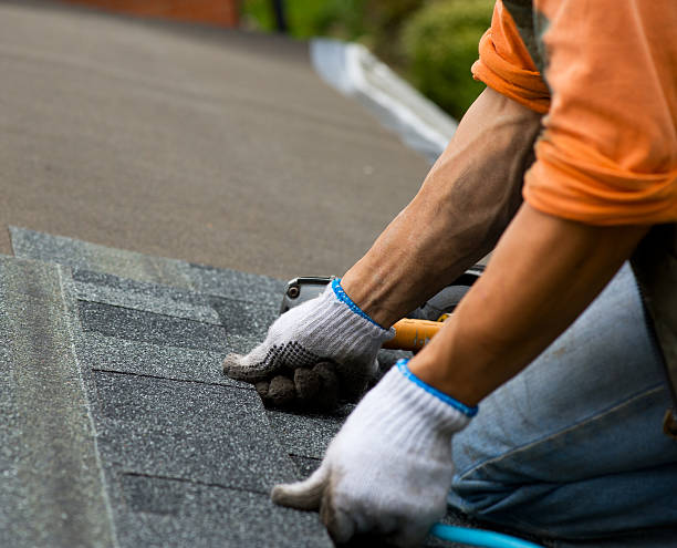 Best Roof Maintenance Services  in Oakwood Hls, IL